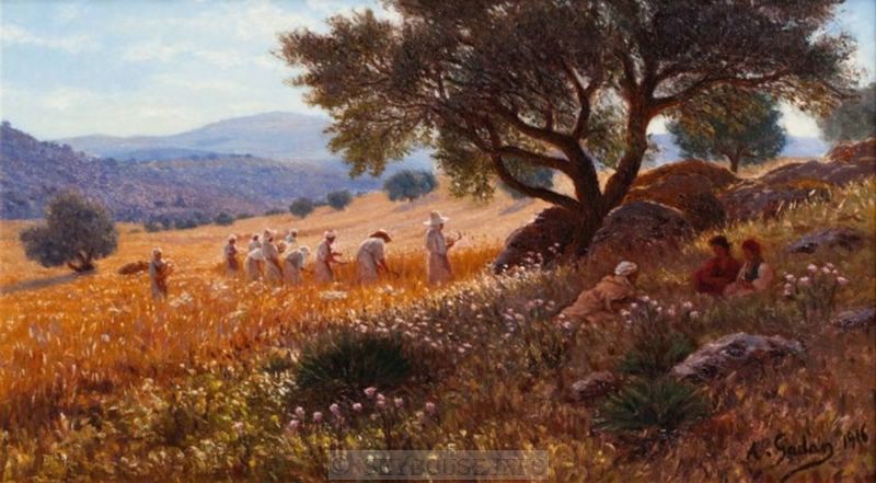 Image envoy�e par M. C. Ciantar